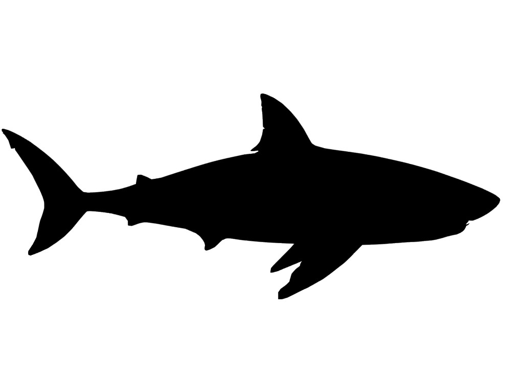 Sticker requin noir anti-collision et résistant UV pour fenêtre
