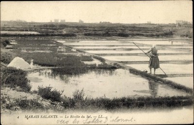 Ak Les Sables d'Olonne Vendée, Salzfelder, Salzgewinnung - 4743578