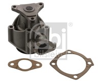 Febi Bilstein 14294 Wasserpumpe, MotorküHlung FüR Fiat,Lancia