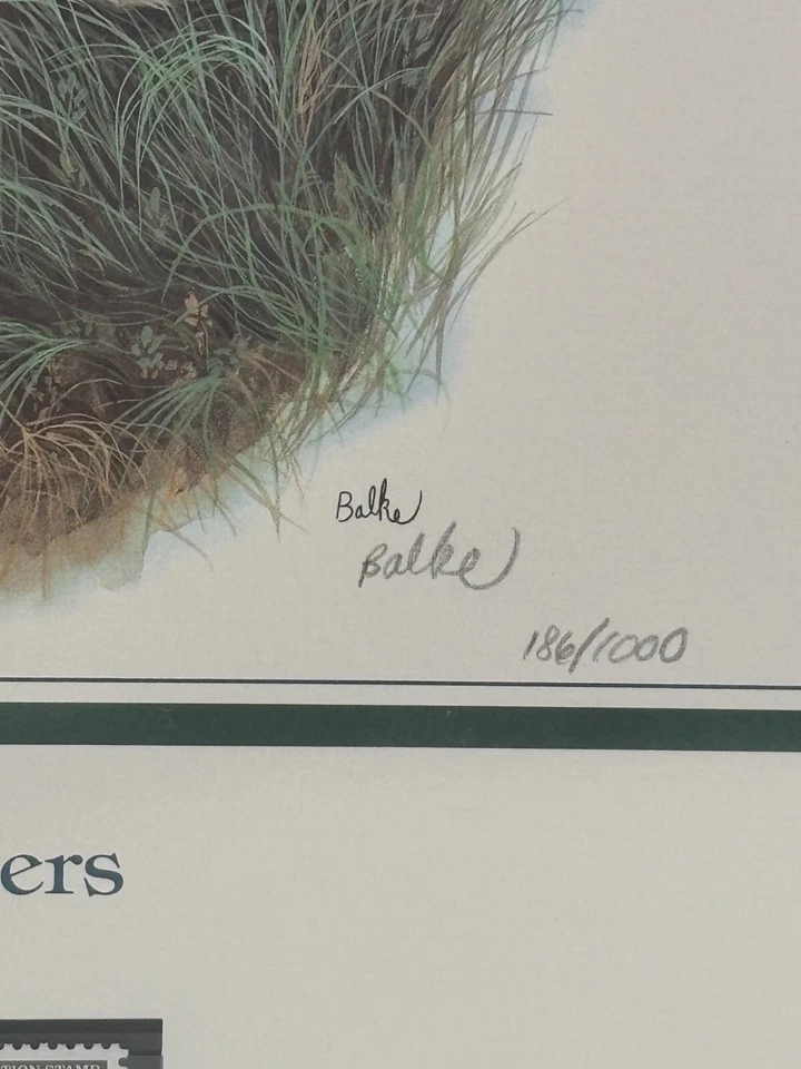 1991 King Eiders Duck Stamp Collector's Art Panel Signed (186/1000) - Image 4 of 4