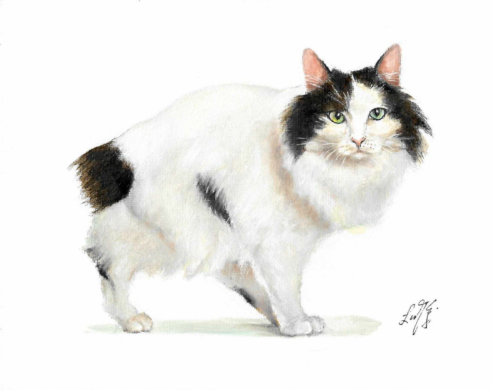 Japanese White Cat Art ❈ ORIGINAL Oil Portrait Painting JAPANESE