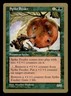 Spike Feeder - 1998 Brian Selden (STH) World Championship Decks MTG LP