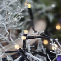 Led Lichterkette 160Er 16M Warmweiß / Schwarz AußEn Best Season 498-36