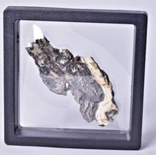 MICROBIAL MAT, Dresser Fmt, Stromatolite, North Pole Dome S17