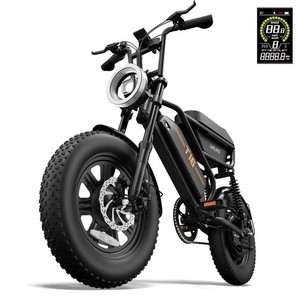 URLIFE 16"*3.0 Fat Tire Electric Bike for Adult 1000W Peak Motor Ebike Up 28MPH