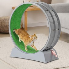 Indoor Cat Exercise Wheel with Lock 35.4" Large Cat Treadmill Wheel for Cats Toy