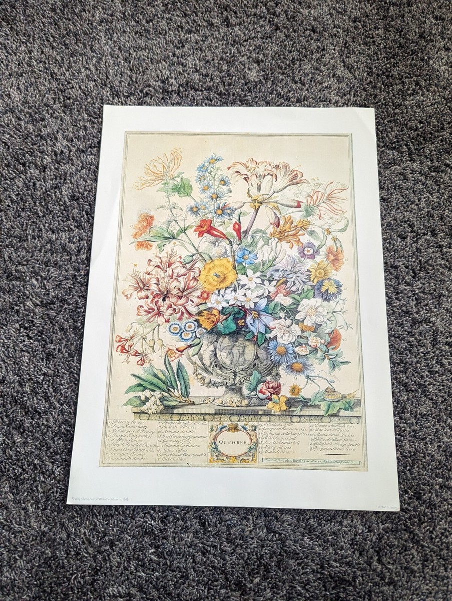 Vintage 12 Months of Flowers Winterthur Museum October Print 14” X