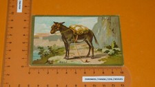 CHROMO 1920-1940 CACHETS PYRAL ANIMAUX MULE
