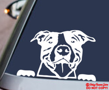 PITBULL FACE Vinyl Decal Sticker Car Rear Window Wall Bumper Dog Terrier Puppy
