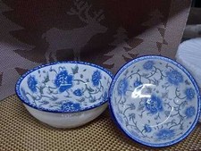 Set of 2 Blue White Ceramic Noodle Bowls Asian Floral Rice Soup Porcelain Dish