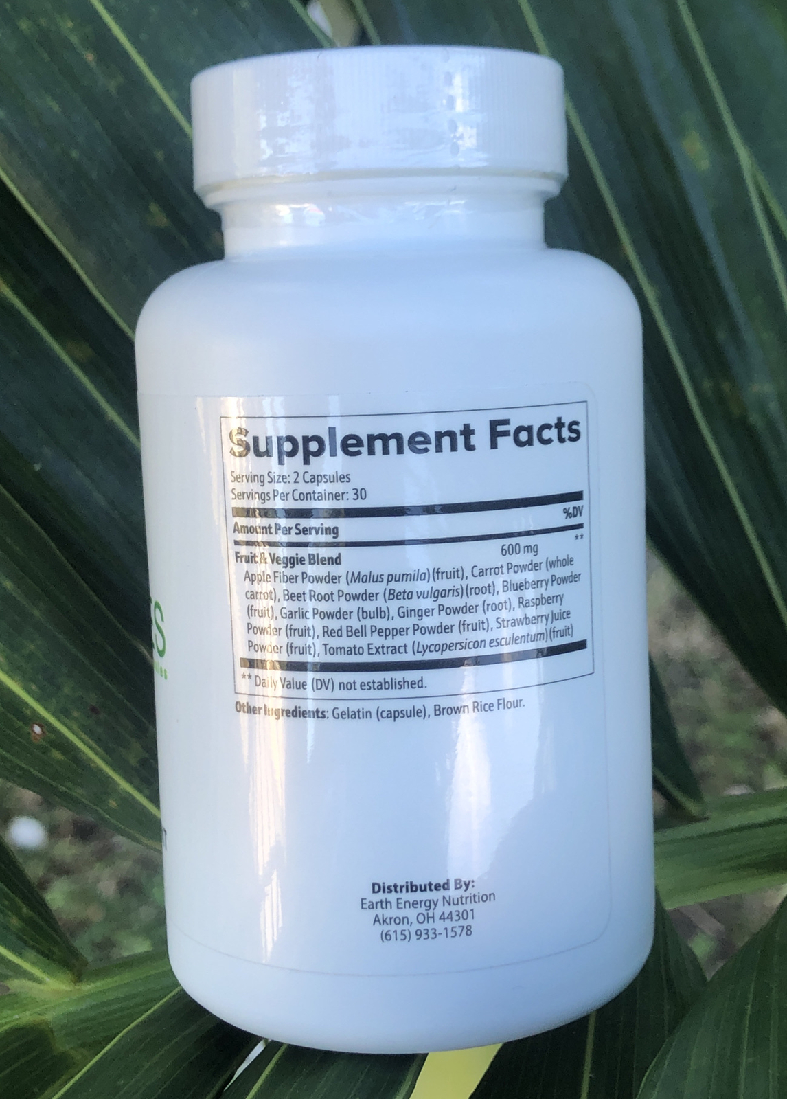 Earth Energy FRUITS and VEGGIES Whole Food 60 Capsules Natural