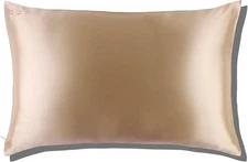 SLIP-Queen 20x30 Inch Caramel Pure Silk Pillowcase Anti Aging Slipsil