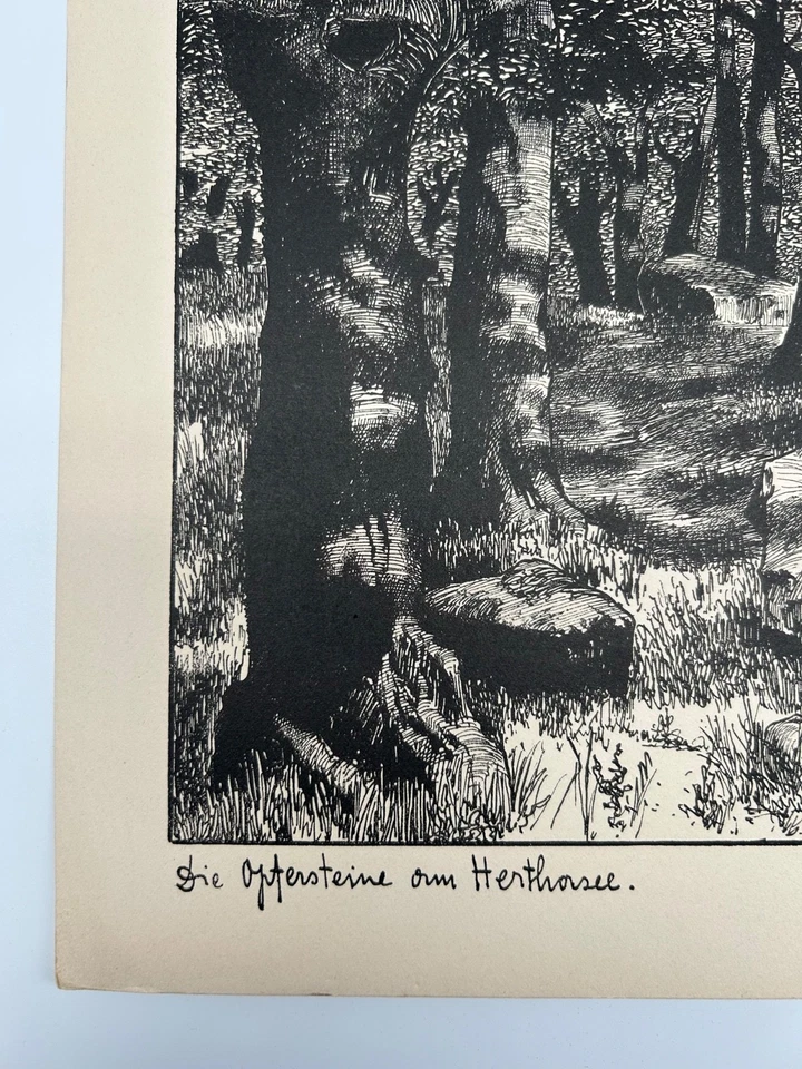 Hermann Hirzel 1864-1939 Lithografie Wald Die Opfersteine am Herthasee Rügen - Bild 4 von 4
