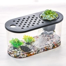 Small Turtle Tank Kit, Reptile Aquarium with Basking Platform, Decor Stones ...
