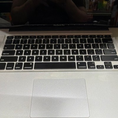 Apple MacBook Pro 15'' Intel Core i7 1st Gen Silver Multi-Touch Trackpad