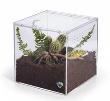 Terrestrial Terrarium - Tarantula Enclosure for Spider Gecko Frog Snail & Sma...