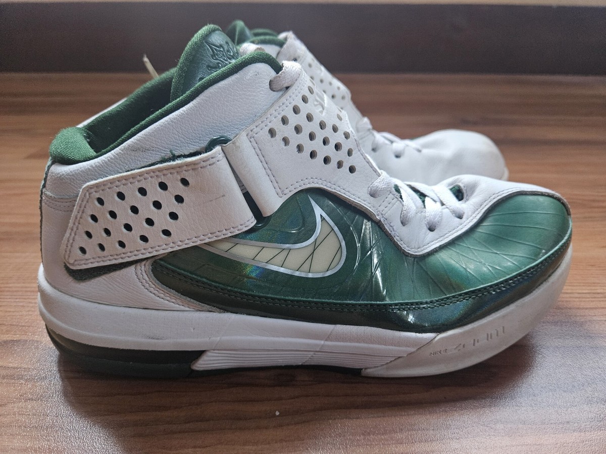 lebron james shoes 8.5