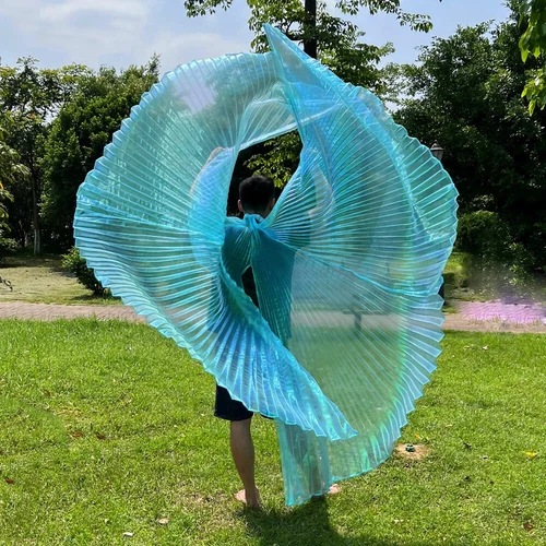 Transparent Belly Dance Wings Stage Performance Dancing Props - Picture 42 of 42