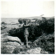 2xphoto, WW2. D.A.K. Libya 1941: "Die Meistersch&uuml;tzen" (MB)21332