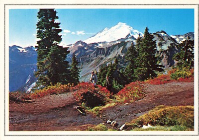Postcard WA Mount Baker Koma Kulshan Cascade Volcanic Arc Mazama Ridge Glacier