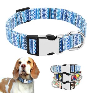 things cats should not eat