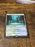 Breeding Pool (Ravnica Allegiance) NM non-foil MTG #246