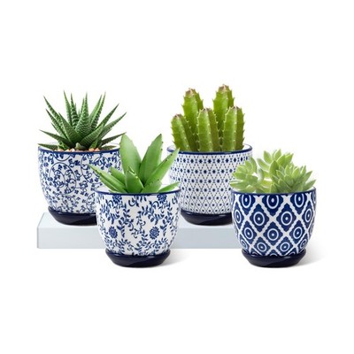''Set of 4 Ceramic Succulent Planters with Drainage Holes  3.5 Inch Pots''
