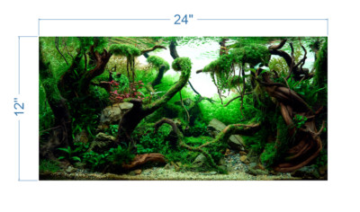 Aquarium Background Tropical Aquascape  - vinyl graphic adhesive AQ0036