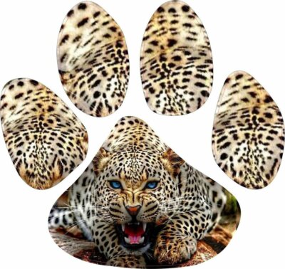 4.5in x 5in Leopard Animal Paw Print Window Sticker Decal Sticke
