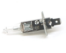 Ampoule Seat EXEO