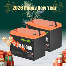 2x Lithium Lifepo4 Battery 12v 100ah Bms 1280wh Solaranlage Rv Marine
