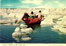 Vtg Alaska Postcard 