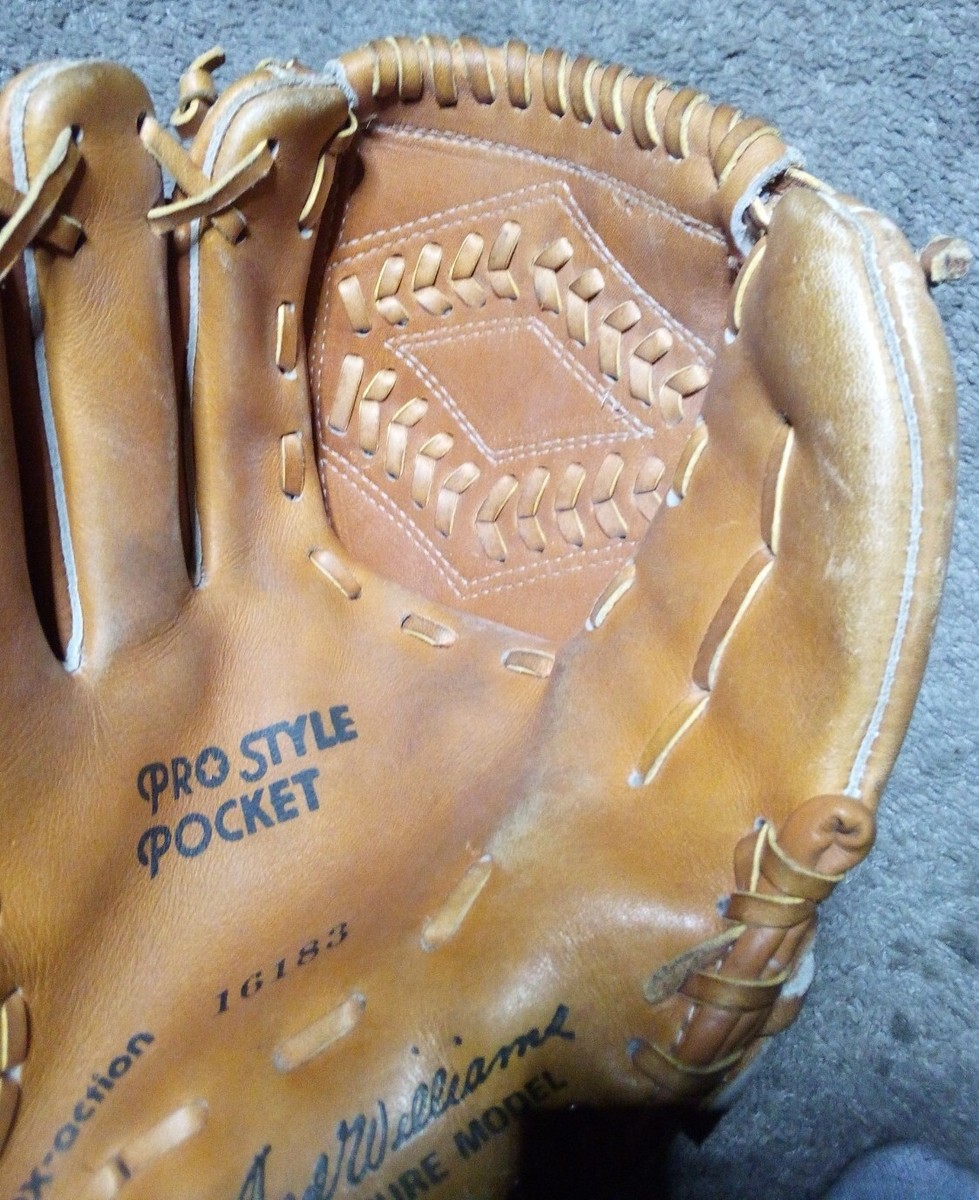 Vintage HOF Ted Williams Sears Roebuck 16183 Signature Model