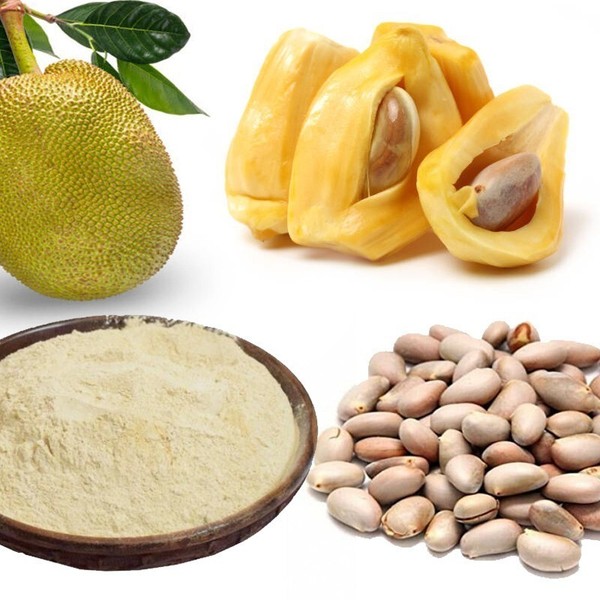 Jackfruit Seeds Powder Natural Tropical Superfood Herbal Plant Powder Vegan Glut