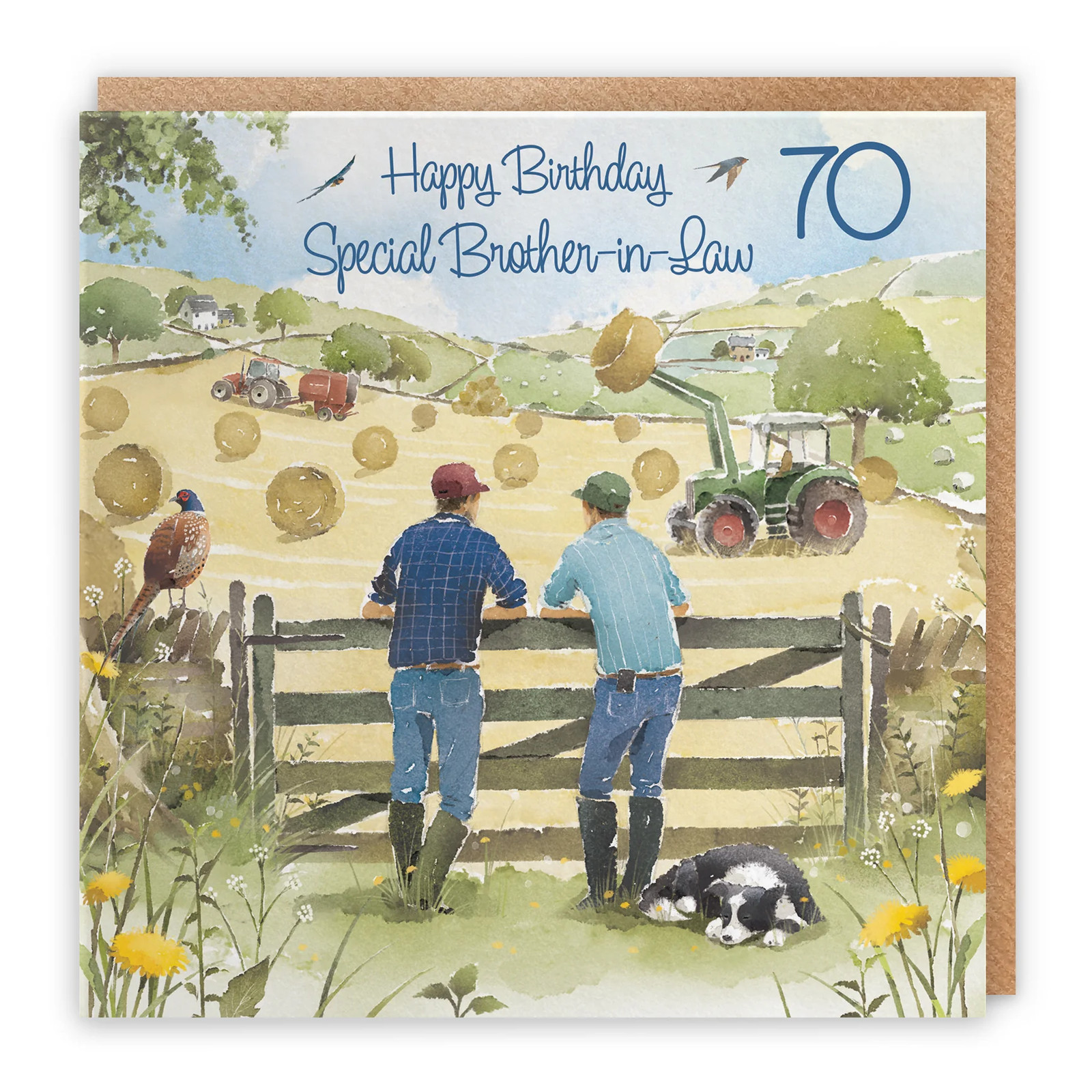 70th Brother-in-Law Birthday Card Haymaking