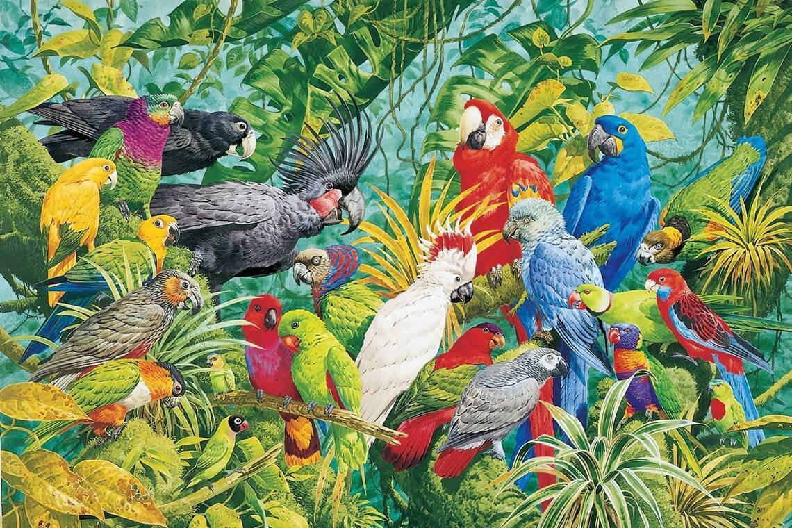 Wooden Jigsaw Puzzle 1000 Pieces, Beautiful Parrot