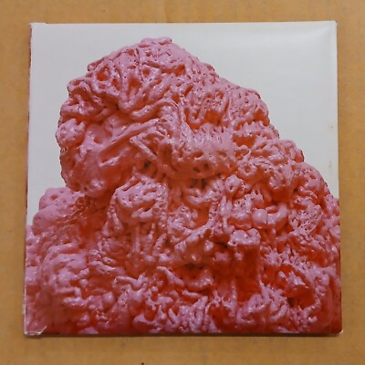 Battles   Gloss Drop - CD Album - Gatefold sleeve & poster - Warp Records 2011
