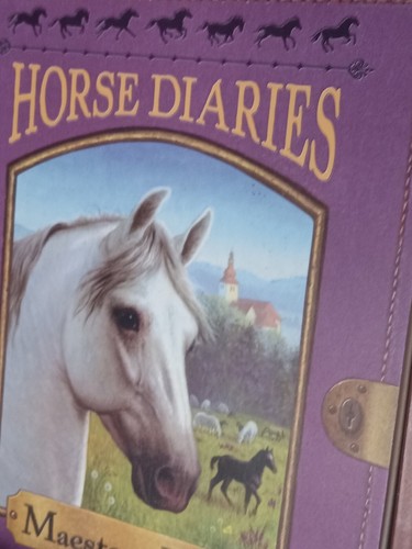 Lot Of 8 Horse Diaries Saddle Club Books Horses Western Cowgirl-Boy Young Teens