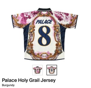 Palace Holy Grail Jersey | eBay
