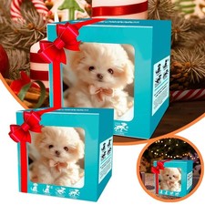 Interactive Electronic Plush Puppy Toy Walking Barking Wagging Tail with Leash