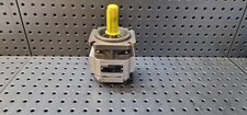 Rexroth PGP2-22/008RE20VE4 Innenzahnradpumpe R900081891 Hydraulikpumpe Unbenutzt