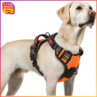 Hundegeschirr Verstellbar Anti Zug Gepolstert Reflektierend Orange FüR GroßE
