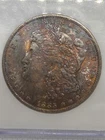 1885 O $1 Morgan Dollar NGC MS65 Toned