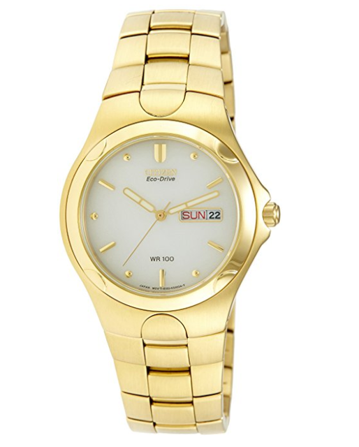 citizen eco drive wr100 gold