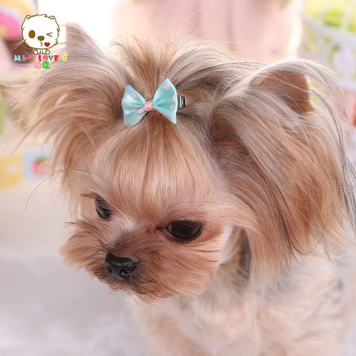 5Pcs Hair Bows For Cute Small Dog Cat Pet Puppy Bowknots DIY Grooming Accessory - Picture 11 of 14
