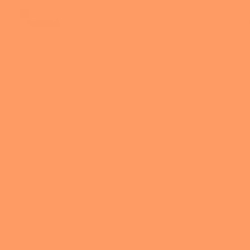 Peach Matte Tricot Knit Swimwear Activewear Sportswear Spandex yoga fabric