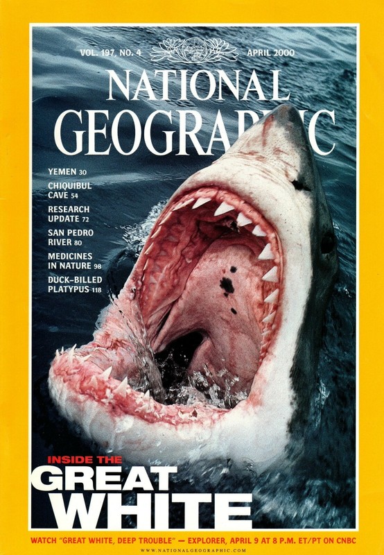 National Geographic Magazine - April 2000 - Feat. "Inside The Great White"