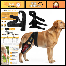 Large Dog Knee Brace for Torn ACL - Adjustable Neoprene Compression Support - An