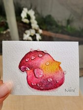 ACEO Original Watercolour Painting of 'Rose Flower & Raindrops' 2.5x3.5 by Nene