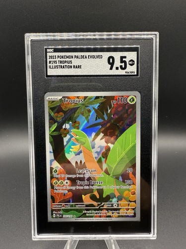 Tropius graded SGC 9.5 for sale on eBay